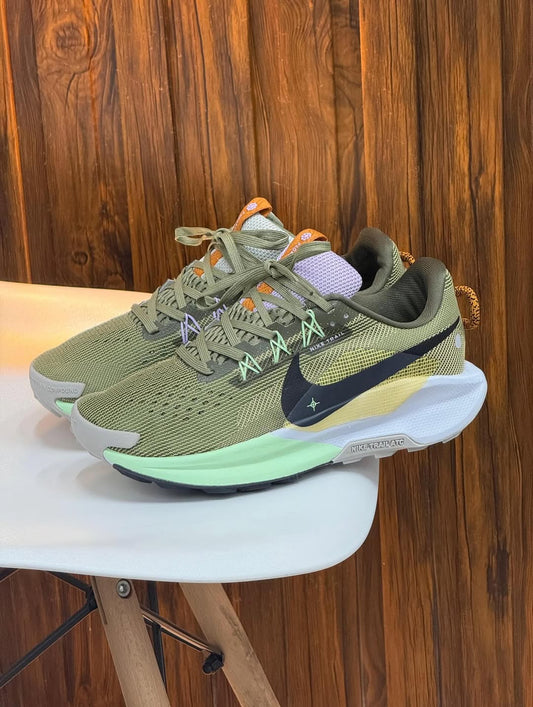 Nike Pegasus Trail 5 Caballero
